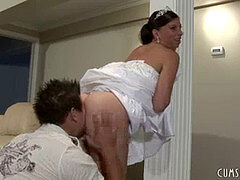 Bruinharig, Jurk, Likken, Bruiloft