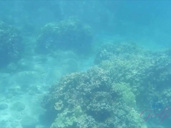 ビーチ, フェラチオ, 露出狂, 手コキする, ハメ撮り, 公共, のぞき, 濡れ