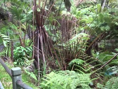 Любители, Черные, На природе, На публике, Тощие, Курящие, Сквиртинг, Влажная