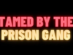 Минет, Буккаке, Фетиш, Групповуха, Геи, Секс без цензуры, Оргии, Душ