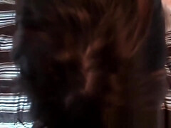 Анальный секс, Жопа, Большой член, Минет, Брюнетки, Классика, От первого лица, Сиськи