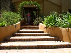 Anal, Bondage domination sadisme masochisme, Grosse bite, Bondage, Classique, Orgasme, Chatte, Tatouage