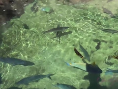 Enthousiasteling, Vingeren, Orgasme, Gezichtspunt, Openbaar, Kut duiken, Mager, Tieten likken