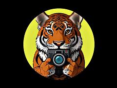 Amateur, Chica, Verga grande, Mamada, Corrida, Sexo duro, Japonés, Pov