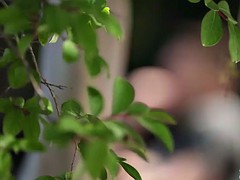 Chica, Verga grande, Morena, Chupando, Tetas