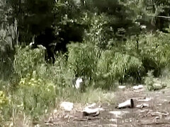 Gros seins, Rondelette, Dingue, Femelle, Mère que j'aimerais baiser, De plein air, Nénés, Jouets