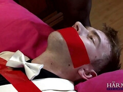 Жопа, Большая жопа, Большие сиськи, Грудастые, Женское доминирование, Секс без цензуры, Белье, Милф