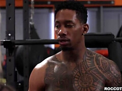 Anaal, Kont, Grote kont, Zwart, Pijpbeurt, Universiteit, Lul, Hardcore