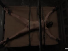 Amarrada, Rostro sentado, Dominacion femenina, Penetracion con dedos, Látex, Dolor, Coño, Esclavo