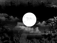 Grote kont, Grote mammen, Zwart, Pijpbeurt, Bruinharig, Zwart, Hd, Interraciaal