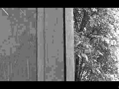 Arsch, Tussi, Grosse titten, Blasen, Paar, Spermaladung, Kehlenfick, Hardcore