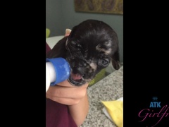 Amateur, Tetas grandes, Morena, Novia, Peludo, Coño, Tetas