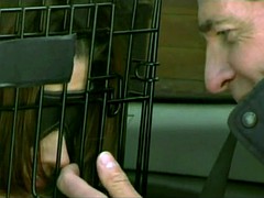 Lieveling, Bondage discipline sadomasochisme, Dominante vrouw