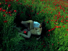 Брюнетки, На природе, На публике