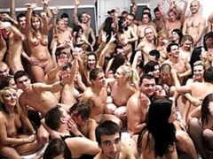 Blasen, Braunhaarige, Gruppe, Handjob, Hardcore, Natürlichen titten, Orgie, Jungendliche (18+)