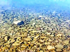 Любители, Пляж, Блондинки, Минет, Собачьи, От первого лица, Киски, Тугие