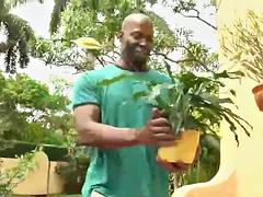 アナル, アジア人, ぽっちゃり, 異人種間