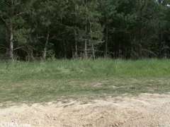 Немки, На природе