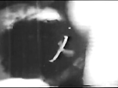 Pijpbeurt, Bruinharig, Europees, Ruw, Oud