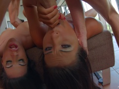 Stellung 69, Blasen, Besamung, Hundestellung, Domination, Lingerie, Muschi, Rock