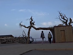 素人, 公共, 一人