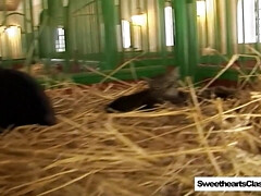 Vingeren, Likken, Masturbatie, Nudist, Openbaar, Tiener, Speelgoed, Oud