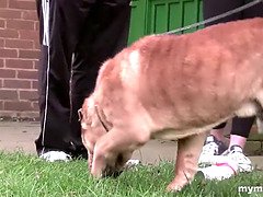 Verga grande, Tetas grandes, Mamada, Pajear, Lamidas, Madres para coger, Coño, Tatuaje