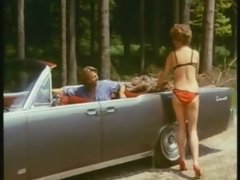 Blasen, Deutsch, Gruppe, Behaart, Hardcore, Orgie, Pornostars, Vintage