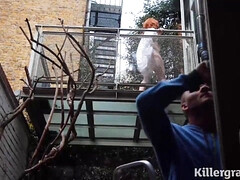 アナル, デカ尻, デカチン, デカパイ, フェラチオ, 巨乳な, 手コキする, 淫乱熟女