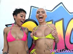 Nana, Grosse bite, Gros seins, Sucer une bite, Brunette brune, Nénés