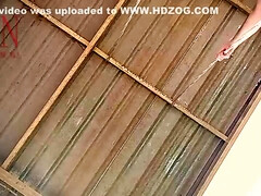 Leie, Schönheit, Braunhaarige, Klassisch, Süss, Schwanz, Frau, Nippel