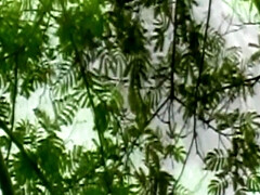 Grosse titten, Spermaladung, Hardcore, Masturbation, Nackt, Muschi, Titten, Nass