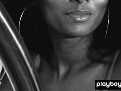 Черные, Гибкие, Обнаженные, Натуральные, Рыжие, Бритые, Софткор, Соло