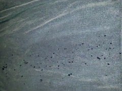 Leie, Kompilation, Spermaladung, Schwul, Masturbation