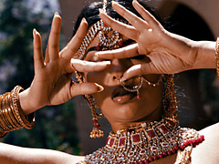 TOTM - Jasmine Blooms