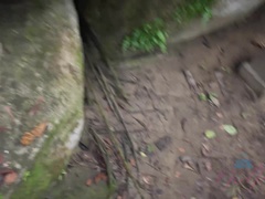 Брюнетки, Платье, Пальцем, Подружка, На природе, От первого лица, Киски, Сиськи