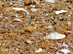 ビーチ, 毛深い, 淫乱熟女, パンティ, ハメ撮り, 公共, オマンコ, スカートのぞき