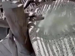 素人, デカチン, 黒人, 茶髪の, 中出し, 黒人, 異人種間, 公共