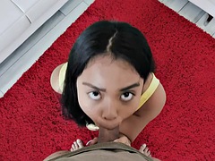 Asiatisch, Grosser schwanz, Grosse titten, Blasen, Braunhaarige, Handjob, Hardcore, Titten