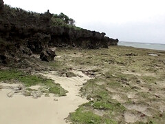 Жопа, Грудастые, Семяизвержение, Смазливые, Глубокая глотка, Хд, Японки, На природе