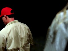 Красотки, Большие сиськи, Знаменитости