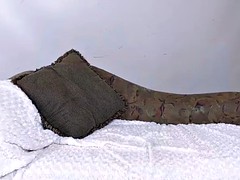 Verga grande, Mamada, Morena, Interracial, Estrella porno, Medias largas, Chupando