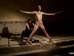 In den arsch, Elektrisch, Gesichtssitzen, Weibliche domination, Erniedrigung, Bestrafung, Muschi, Sklave