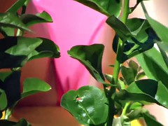 Пляж, Под юбкой, Подглядывание