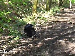 Nude in a Yorkshire wood (7)