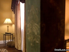 Bondage discipline sadomasochisme, Bizar, Pijpbeurt, Gebondenheid, Bruinharig, Lul, Hondjeshouding, Tatoeage