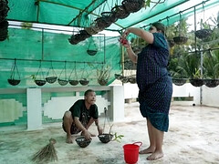 Wohlbeleibte schöne frauen, Grosser arsch, Grosse titten, Verrückt, Indisch, Milf, Muschi, Titten
