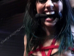 18 años, Culo, Sadomasoquismo, Morena, Indio, Perforación, Sexo fuerte, Adolescente