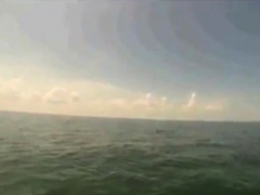 Любители, Жопа, На природе, Подглядывание