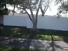 Grote lul, Pijpbeurt, Sperma in mond, Hondjeshouding, Hd, Monster, Rijden